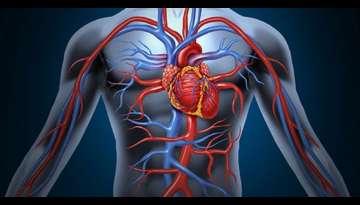 Natural Remedy Options for Vascular Occlusion Natural Remedy Options for Vascular Occlusion